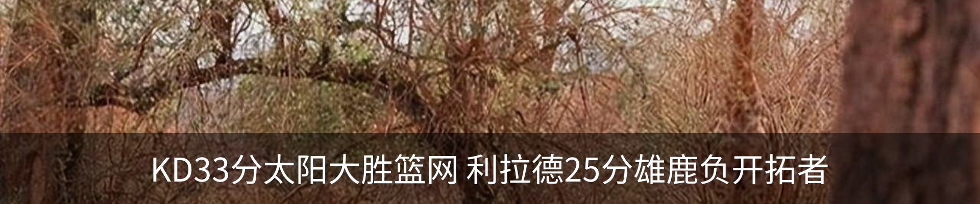 热点资讯